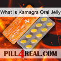 What Is Kamagra Oral Jelly new05